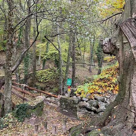 El Refugio De Felix * Sotillo de la Adrada