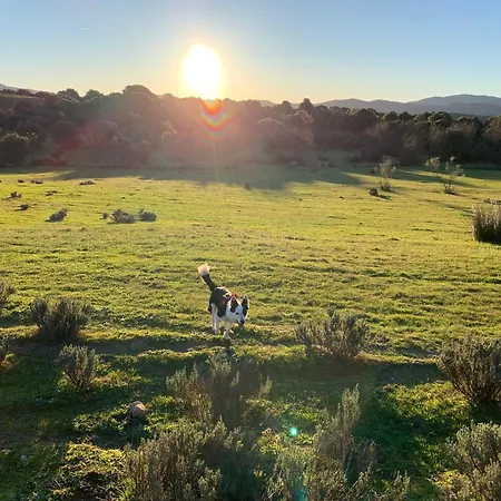 El Refugio De Felix Sotillo de la Adrada