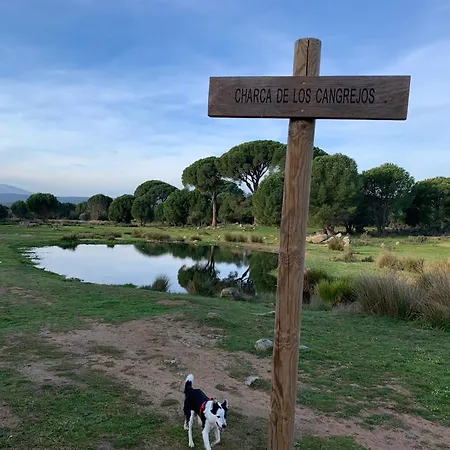 El Refugio De Felix * Sotillo de la Adrada