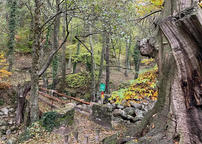 El Refugio De Felix * Sotillo de la Adrada