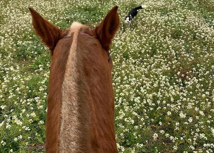 Ferienhaus El Refugio De Felix