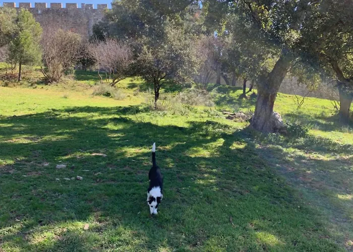 Ferienhaus El Refugio De Felix Sotillo de la Adrada