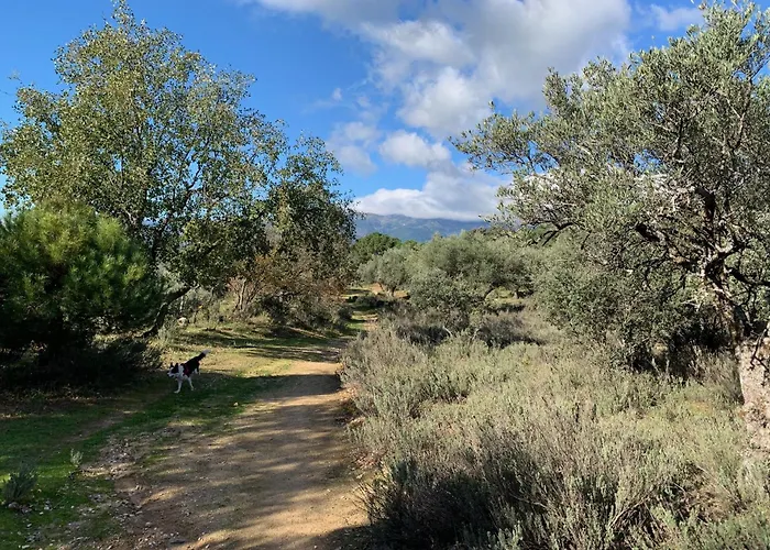 El Refugio De Felix * ソティージョ・デ・ラ・アドラダ