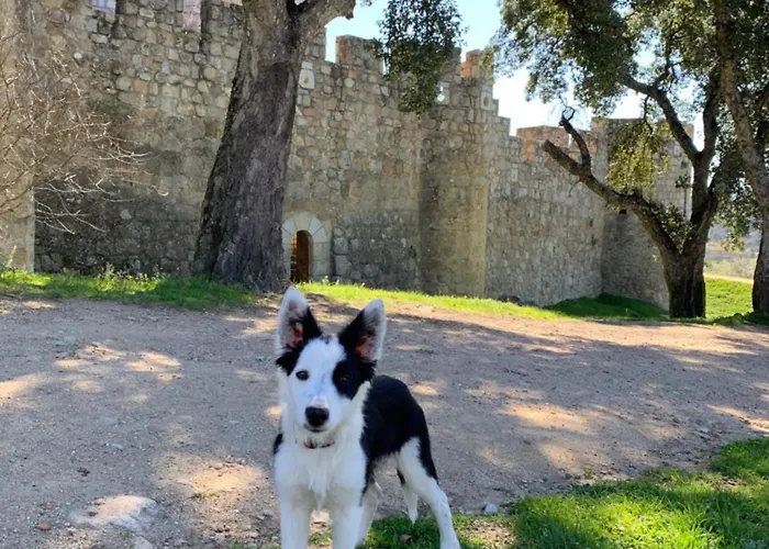 El Refugio De Felix 펜션