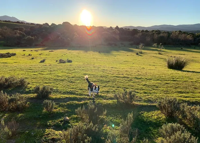 El Refugio De Felix ソティージョ・デ・ラ・アドラダ